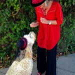 1146764_10151805713664413_1555775496_o