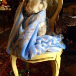 1456606_10152404379829413_35440870258143848_n